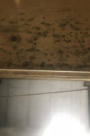 Maybe you would like to learn more about one of these? Schuh S Cleaning Restoration Services We Clean It Up Carpet Cleaning Water Restoration Services Structure Drying Services Mold Remediation Services Cleaning Restoration Services Cleaning And Restoration Services Is Our Business Power Washing