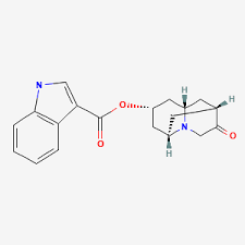 Image result for Dolasetron