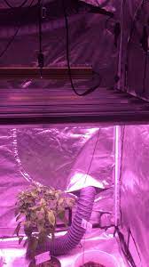 Led grow light 2000w apelila new version full spectrum led. Apelila Led Grow Light Home Facebook