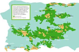 Bosque Modelo De Puerto Rico Home Facebook