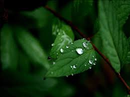 Beautiful desktop wallpaper digital wallpapers pinterest. Hd Nature Widescreen Wallpapers Bible Verse Wallpaper Hd With Nature 1600x1200 Download Hd Wallpaper Wallpapertip