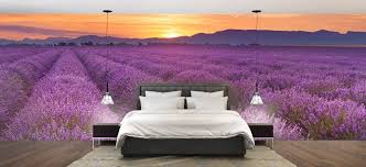 Looking for the best wallpapers? Field Full Of Lavender Wallpaper