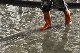 Schaden geht in die milliarden. Ltzy 28lrtr3fm