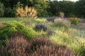 West Cork Piet Oudolf Landscape Design Natural Garden Nature