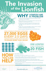 Nw florida's premier spearfishing tournament of the year! The 2019 Emerald Coast Open The Largest Lionfish Tournament In History Panhandle Outdoors