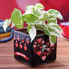 That's why we've you'll find a creative gift for every kind of relationship, whether you're celebrating your first valentine's day together as boyfriend and girlfriend, or you've. White Pothos Plant In Love You Always Forever Sticker Vase