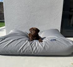 Our online collection of designer dog beds will ensure that your dog receives a good night's rest. Dog Bed Light Grey Coating Dog Beds By Dog S Companion