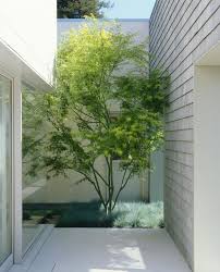 16 Idees Pour Amenager Une Petite Cour Interieure Minimaliste Small Courtyards Modern Landscaping Modern Garden
