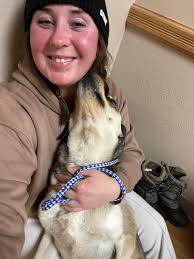 Mac- aka the black fox 😂🦊🐶 6months old maturing absolute perfectly could  of asked for a better dog Scott remember our convo you so said in the right  hands and effort hell