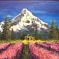 Travel Lovers Tuesday - Mt. Hood Lavender Fields event in Arlington Heights, IL