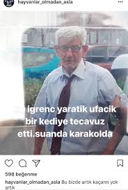 18 Haziran 2018 Yavru Kediye Tecavuz Uludag Sozluk