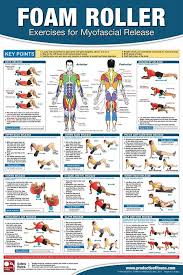 Foam Roller Exercises For Myofascial Release Fitness Gym Physiotherapy Wall Chart Poster Pfp Foam Roller Exercises Myofascial Release Muscles Massage