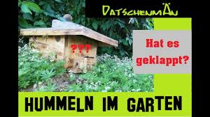 Sollen die tiere an einem bestimmten platz im garten nicht auftauchen, dann können so wird sich auch ein bombus nie an einen grillplatz verirren und dort bei einer feier stören. Eigene Hummeln Im Garten Halten Hat Es Geklappt Datschenman Anleitung Folge 11 Youtube