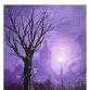 Paint and Sip Brush Party event image