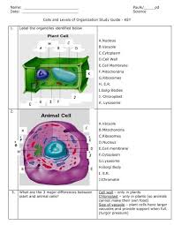 Animal cell organelles a level. Paulk Pd Date Science Cells And Levels Of Organization Stud