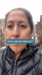 I dont understand 🥺😢 if you want to help with vet bill lmk. #bklyndogs  #newyorkcitydogs #dogneglect #matteddog #dogtok #dogstory #abandoneddog  #poordog #sickdog #nycdog #aspca