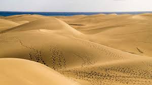 Top things to do in gran canaria. Maspalomas Beach And Sand Dunes Must See In Gran Canaria