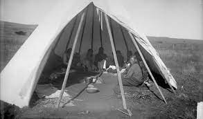 In addition to psychoactive use, some native american tribes use the plant in the belief it may have curative properties. Hallucinogens