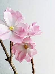 Pin On Kaylany S Decoration