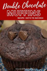 Double Chocolate Muffins Recipe Chocolate Muffins Chocolate Muffin Recipe Double Chocolate Muffins