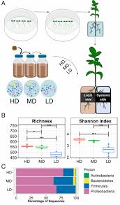 The kiplinger washington editors, inc., is part of the dennis publishing ltd. Rhizosphere Microbiome Mediates Systemic Root Metabolite Exudation By Root To Root Signaling Pnas