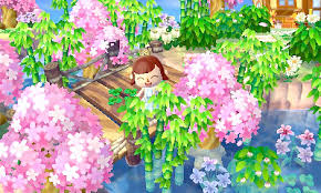 R�sultat de recherche d'images pour "acnl"