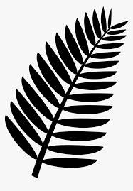 Download this banana leaves, banana clipart, in kind png clipart image with transparent background or psd file for free. Palm Leaf Clipart Black And White Hd Png Download Transparent Png Image Pngitem