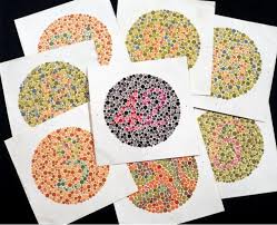 We did not find results for: Life In Technicolor One Month Wearing Enchroma S Color Blindness Fixing Glasses Ars Technica