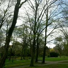 The alter botanischer garten tübingen is the former botanical garden of the university of tübingen, now a municipal park. Alter Botanischer Garten Tubingen Baden Wurttemberg