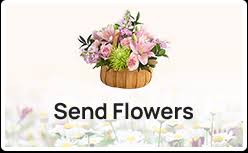 We offer flower delivery in yellowstone county, mt to the following zip codes in an award winning gift box and through our affiliated local florists in and around. Carol Weiss Obituary 2021 Thompson Funeral Home And Cremation Services