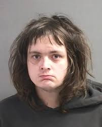 25-year-old DYLAN WEBB from DAYTONA BEACH was booked