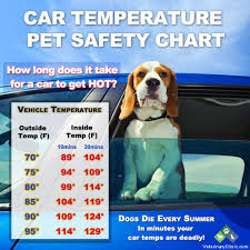 Car Temperature Pet Safety Chart Make Sure To Keep Your