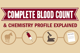 What S In A Test The Horse