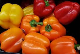 Image result for Capsicum