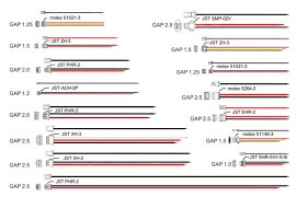 The good news is that nearly all batteries you will encounter are going to be 4.2v. Li Po Li Ion Batteries Lithium Polymer Battery 3 7 V Lipo Li Ion Rechargeable Lithium Ion For 603450 1200mah Buy Lithium Ion Batteries1200mah Speaker High Capacity Polymer Batteries Product On Alibaba Com