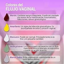 Dra Tatiana Alvarado Veliz Ginecologia Y Obstetricia En Guayaquil Significado Del Flujo Vaginal Es Importante Realizar Chequeos Para Evitar Llagas Y Dolores Si Tienes Alguno De Estos Sintomas Agenda Tu Cita