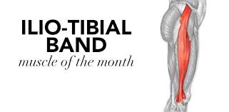 241 popular meanings of itb abbreviation Muscle Of The Month Iliotibial Band Itb Cms Fitness Courses
