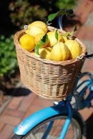 Sophia S Limoncello Villa Beautiful Fruits Fruit Lemon Decor