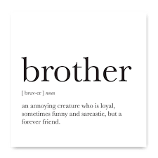 Funny Definition Noun Quote Greetings Card For Brother In 2020 Brother Quotes Funny Best Brother Quotes Little Brother Quotes