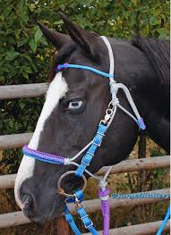 How to make a rope halter for a horse or donkey. Yacht Braid Halter Bridles By Sunset Halters