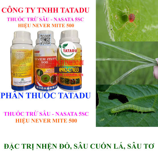 Nasata 5SC.