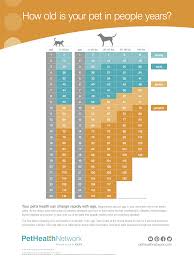 Pet Age Chart Lomsnes Veterinary Hospital
