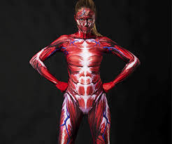 Did you know… ☛ while the size of the human head right from birth won't change drastically, it is the torso and the lower limbs that grow in length. Human Muscle Anatomy Costume