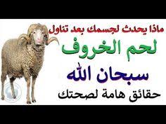 ماذا يحدث لجسمك بعد اكل لحم الخروف الجواب هام جدا لصحتك سبحان الله العظيم Novelty Sign