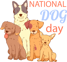 [Image: images?q=tbn:ANd9GcQrSNVWqFMO_hHdswaieea...HBOr-CFw&s]