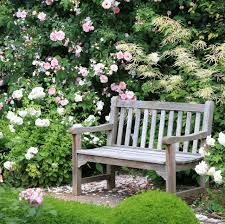 Our roses are truly exceptional in color, habit, fragrance, and garden performance! 16 Types Of Roses Most Popular Rose Varieties
