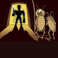 Olathe, ks animal control news clip: Commercial Pest Control Is One Of The Many Services Offered By Milberger