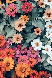 Pin By Yesenia Gutierrez On Lookscreen Flower Aesthetic Flower Wallpaper Flower Phone Wallpaper