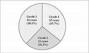Http Www Thaiscience Info Journals Article Jmat 10986379 Pdf