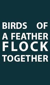 Proverb Birds Of The Same Feather Flock Together The Most Fun And Adventurous Way To Learn Arabic With Audio Arabic Proverb Learning Arabic Words